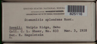 Image Associated With the Occurence